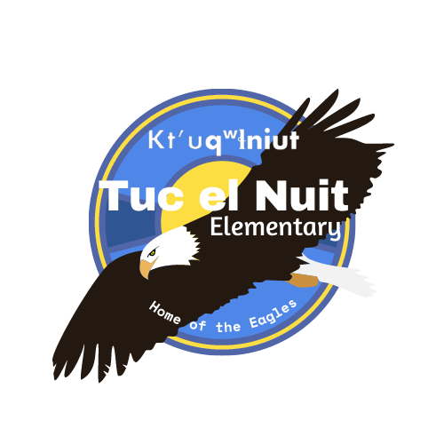 Tuc el Nuit Elementary School logo